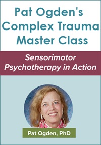 Sensorimotor Psychotherapy In Action 350x500 Not Found