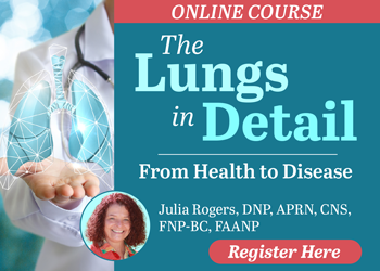 The Lungs in Detail: From Health to Disease