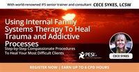 Using Internal Family Systems To Heal Trauma and Addictive Processes: Step-by-Step Compassionate Strategies To Heal Your Most Difficult Clients 2