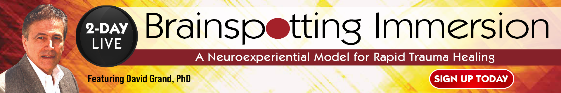 David Grand's LIVE 2-Day Brainspotting Immersion