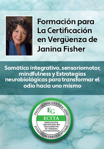 Formación para la certificación en vergüenza de Janina Fisher