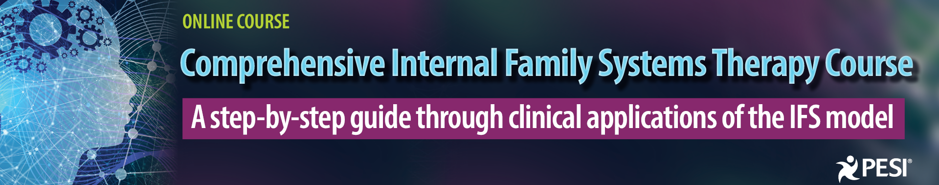 Comprehensive Internal Family Systems Therapy Course: A Step-by-Step Guide Through Clinical Applications of the IFS Model