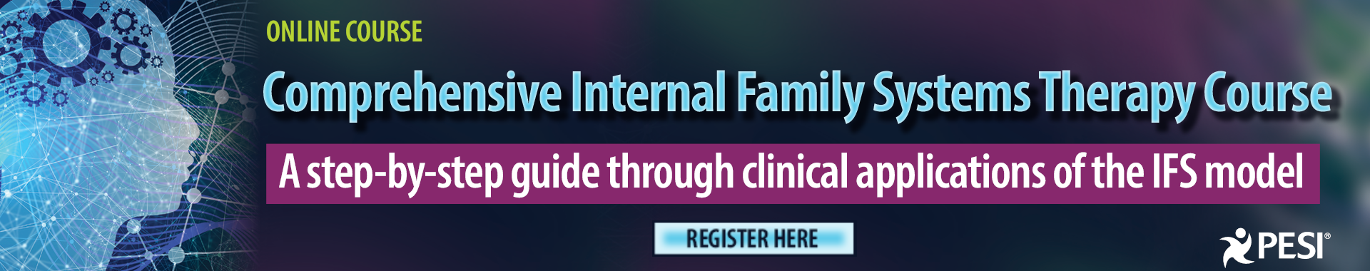 Comprehensive Internal Family Systems Therapy Course