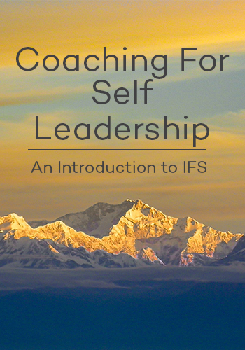 IFS Coaching