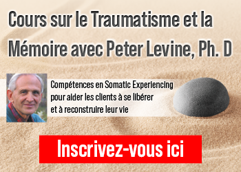 Dr Peter Levine Expérience somatique