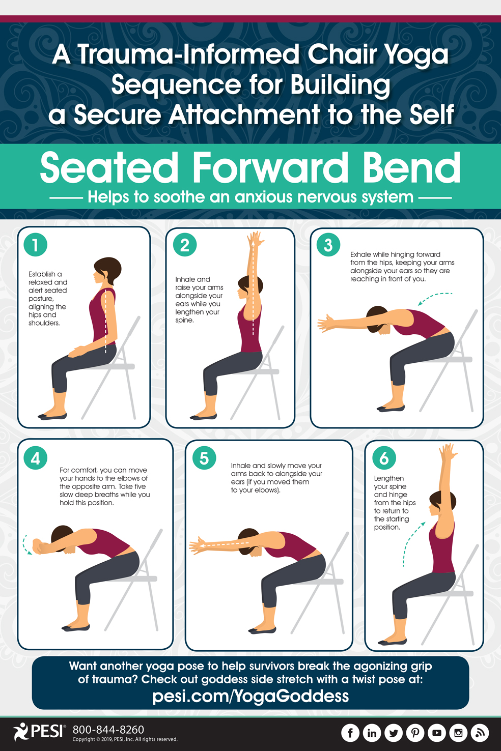 Learn More about Simple Chair Yoga Poses That can Help You Stay Healthy &  Fit