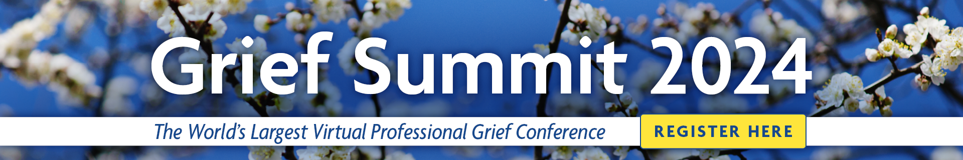 Grief Summit 2024