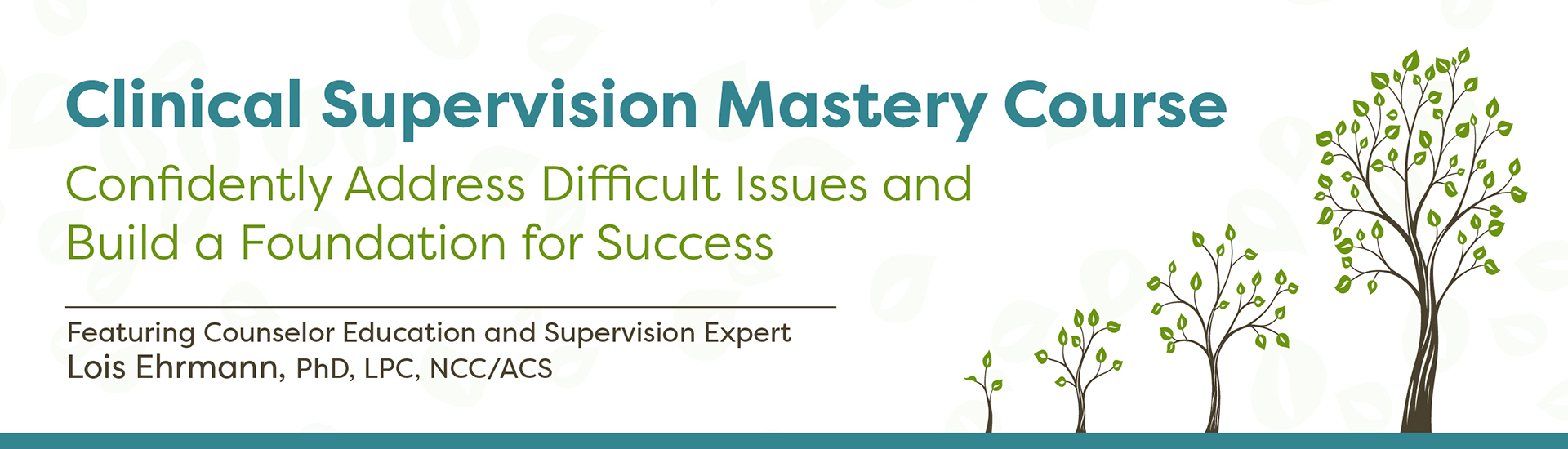 Clinical Supervision Mastery Course