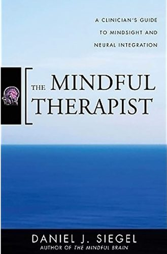 The Mindful Therapist