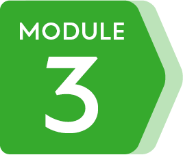 Module 3