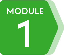 Module 1