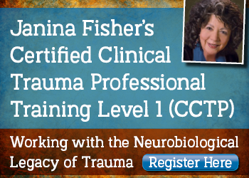 Janina Fisher’s Certified Clinical Trauma Professional Training Level 1 (CCTP): Working with the Neurobiological Legacy of Trauma