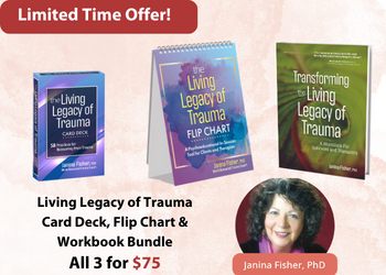 Dr. Janina Fisher’s Living Legacy of Trauma Product Bundle