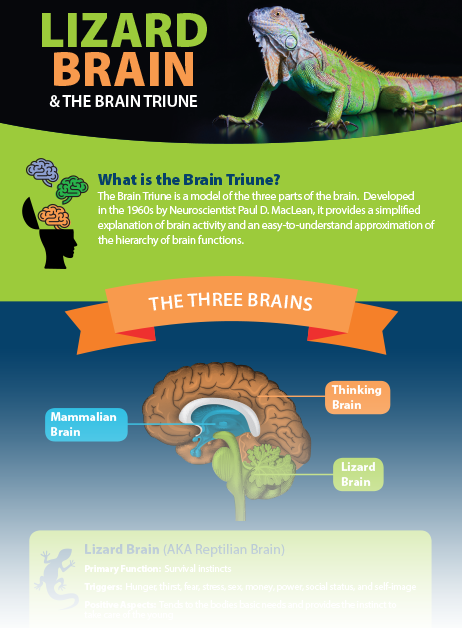 Assessment Companion Infographic