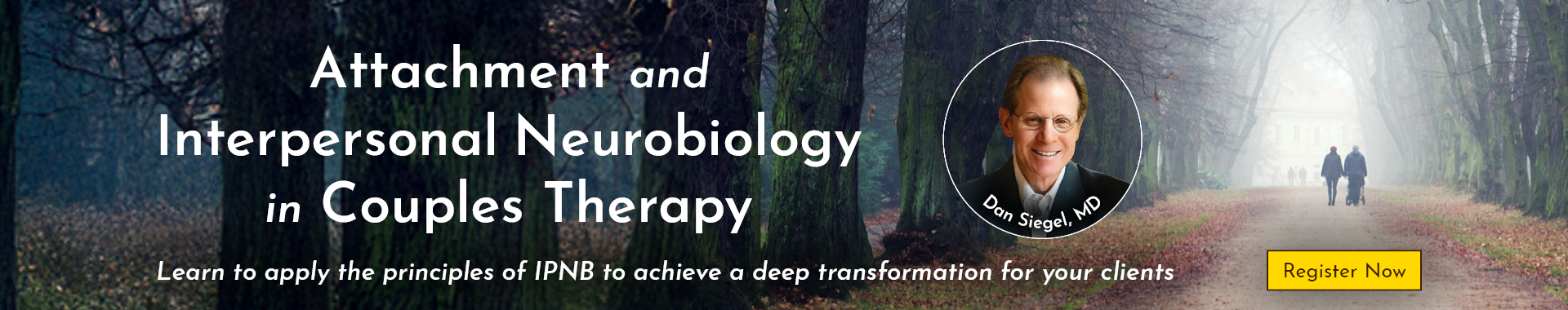 Understanding and Treating Disorganized Attachment and Dissociation