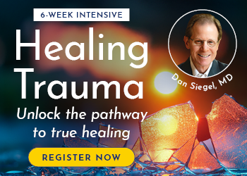 Healing Trauma, Integrating Brain, Body, and Relationships – A 6-Week Online Intensive