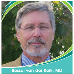 Bessel van der Kolk