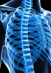 12-Lead EKG and Chest X-Ray Interpretation Not Found