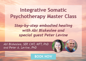 Integrative Somatic Psychotherapy Master Class