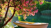 Saverio Bornancin Tomasella, PhD, Psychotherapist - CPD Training instructor