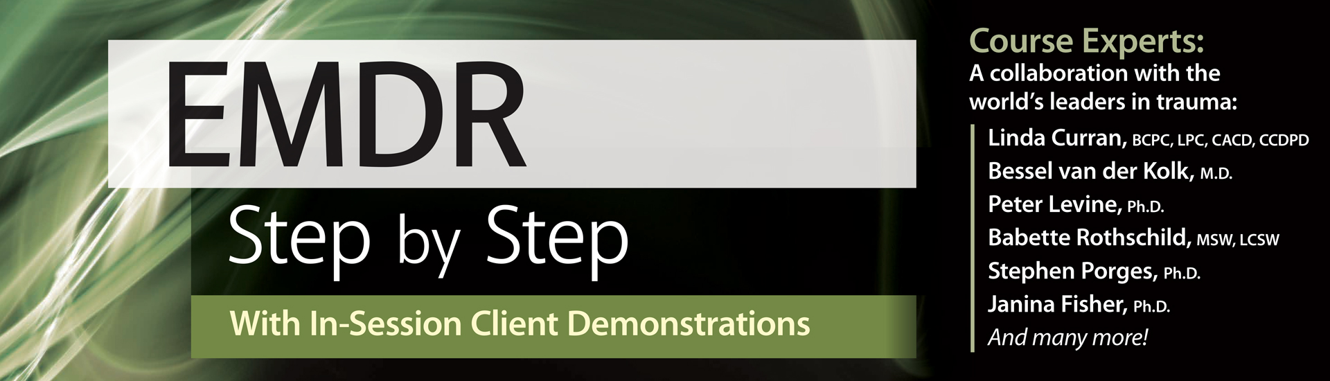 EMDR: Step by Step With In-Session Client Demonstrations