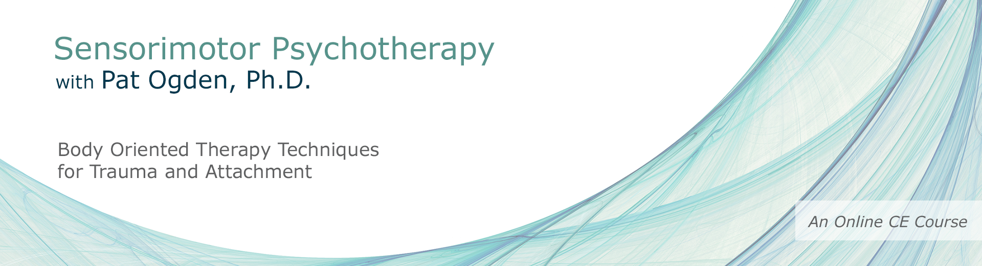 Psychothérapie sensorimotrice avec Pat Ogden, Ph.D. : Techniques de thérapie corporelle pour les traumatismes et l'attachement