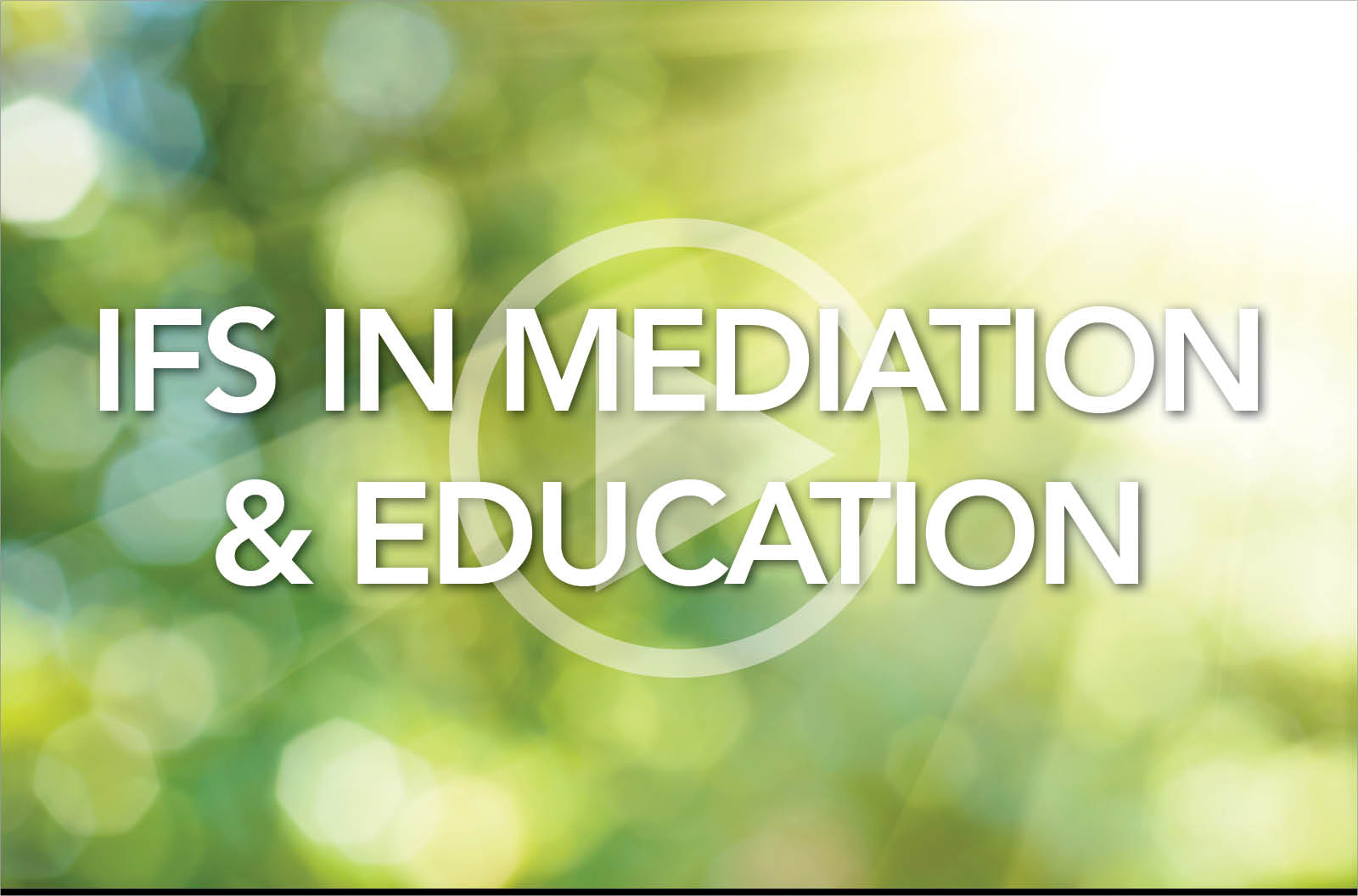 IFS in Mediation and Education