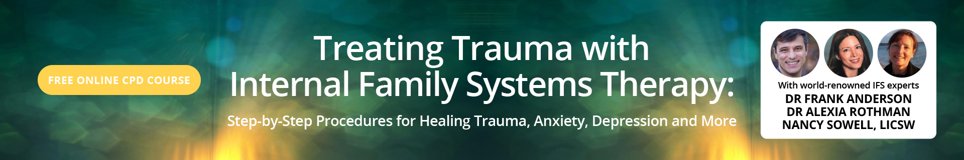 Treating Trauma with Internal Family Systems Therapy: Step-by-step procedures for healing trauma, anxiety, depression and more