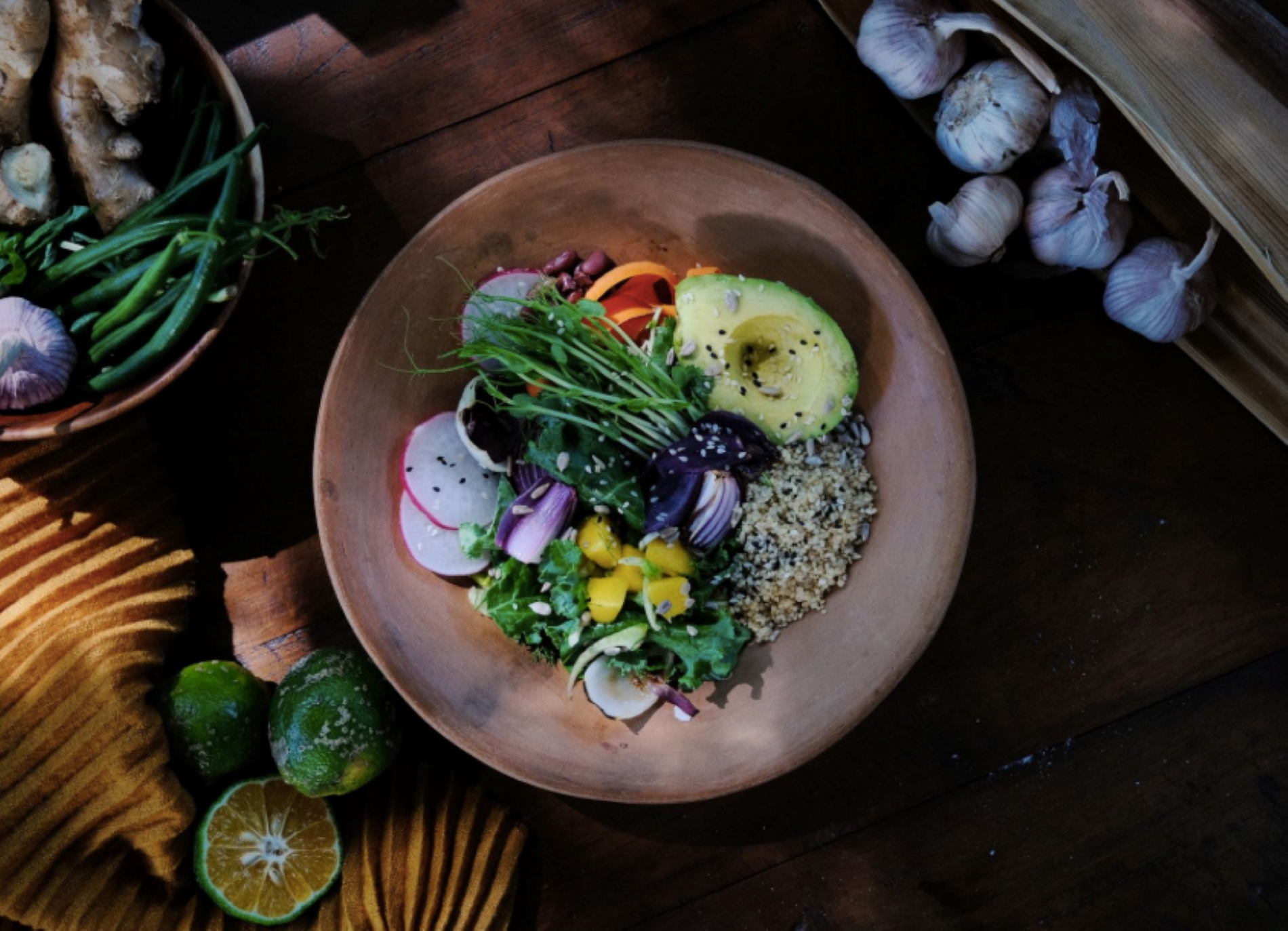 Gourmet Vegetarian Cuisine