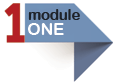 Module 1