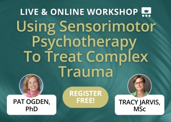 Using Sensorimotor Psychotherapy To Treat Complex Trauma: Practice Proven Body-Based Techniques for Your Most Difficult Clients